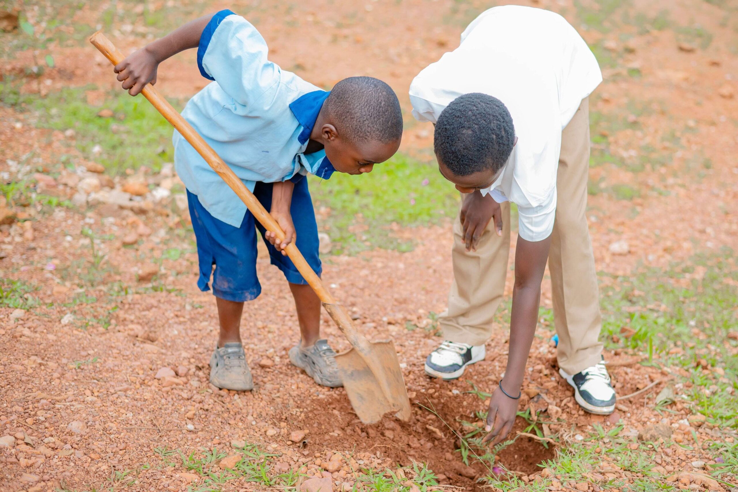 Umweltbildungsprojekt mit Schulen in Rwanda